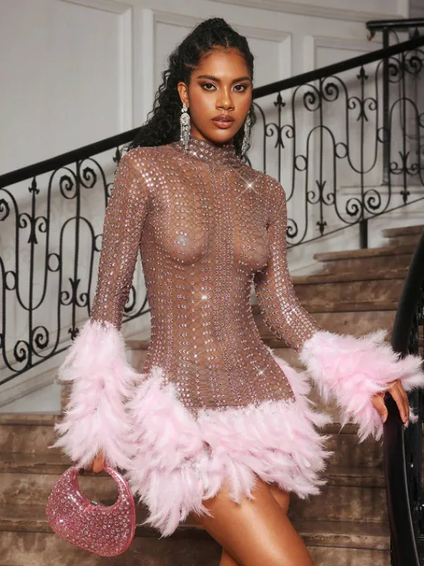 Embellishment|Dresses*Embellishment Braylene Rhinestone Feather Trimmed Mini Dress