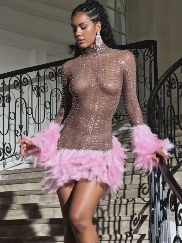 Embellishment|Dresses*Embellishment Braylene Rhinestone Feather Trimmed Mini Dress