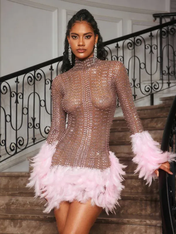 Embellishment|Dresses*Embellishment Braylene Rhinestone Feather Trimmed Mini Dress
