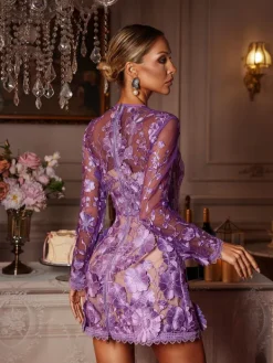 Dresses|Mini Dresses*Mew Mews Fashion Dallan Long Sleeve Floral Embroidered Mini Dress