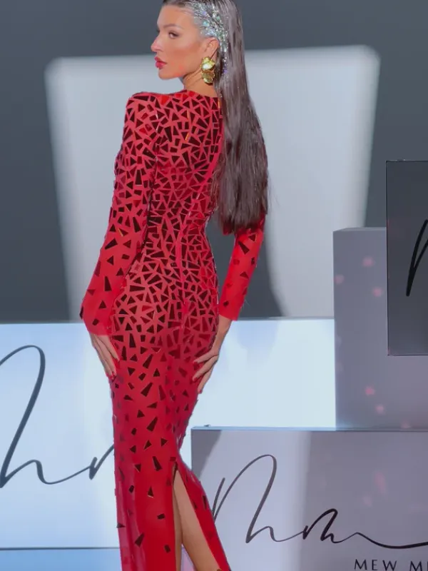 Embellishment|Dresses*Embellishment Guthrie Long Sleeve Acrylic Mesh Maxi Dress