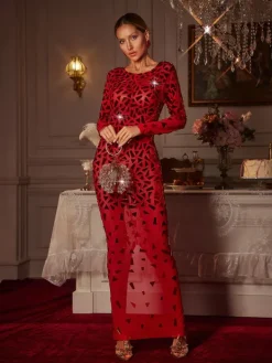 Embellishment|Dresses*Embellishment Guthrie Long Sleeve Acrylic Mesh Maxi Dress