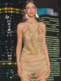 Embellishment|Dresses*Embellishment Nikolai Chain Embellished Mini Dress