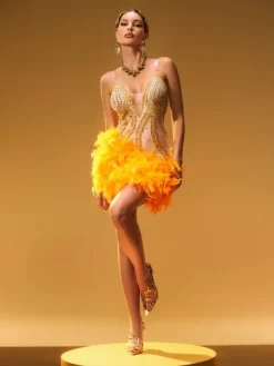 Embellishment|Dresses*Embellishment Nyxie Rhinestone Feather Trimmed Mini Dress