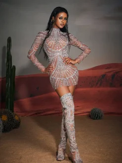 Embellishment|Dresses*Embellishment Ruben Long Sleeve Embellished Mesh Mini Dress